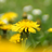 mainwebsite-7z1.pages.dev favicon